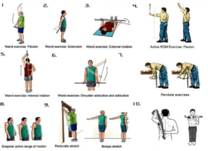 Shoulder Range of Motion exercises