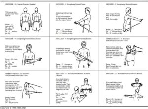 Shoulder Strengthening